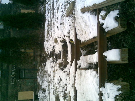 20121212(005)