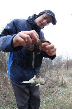 IMG_7447