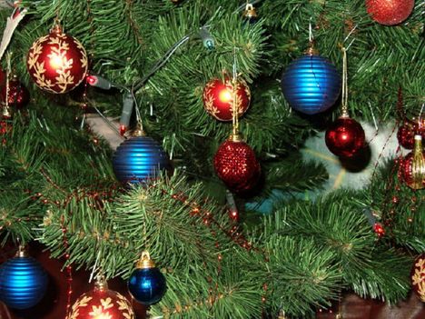 Karácsonyfa-díszek 5