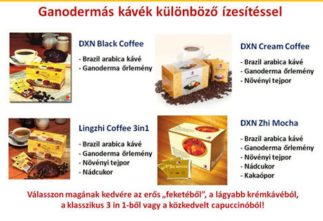 dxn_ganoderma_kavek különböző ízek