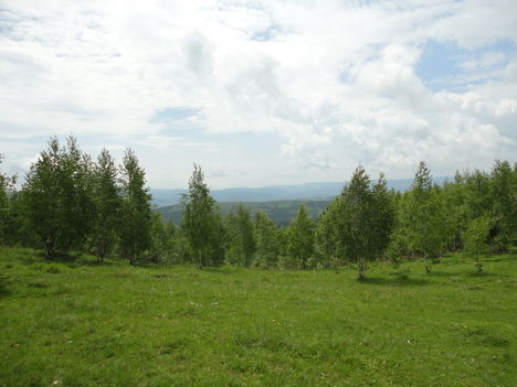 Csinód 2012 június 1 001