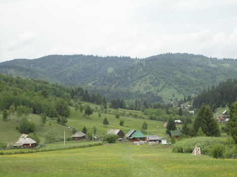 Csinód 2012 június 1 020