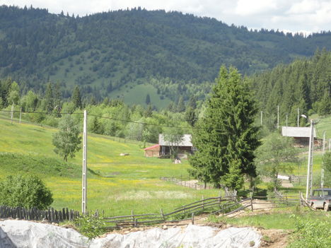 Csinód 2012 június 1 062