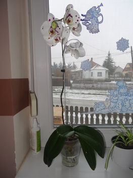 DSC00675