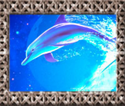 delfin