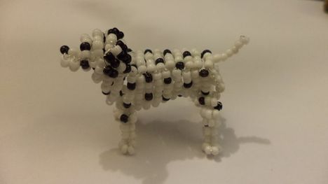 Dalmata
