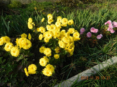 DSCN0229