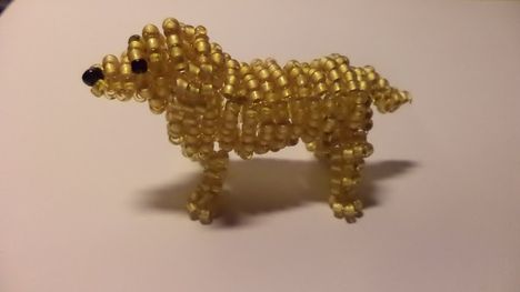 Golden retriever