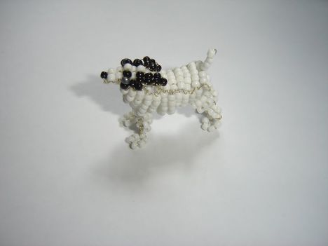 Jack Russell terrier