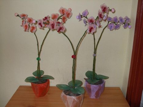 Orchideák