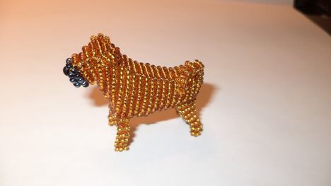 Shar pei 