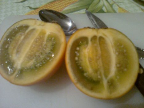 Solanum quitoense lulo  (nagy gyümölcsű, tüskétlen levelű lulo)