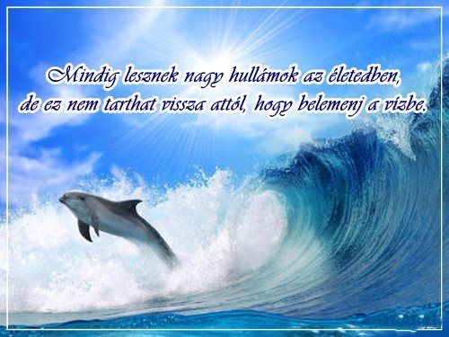 delfines_idezet_1353650_1080.jpg