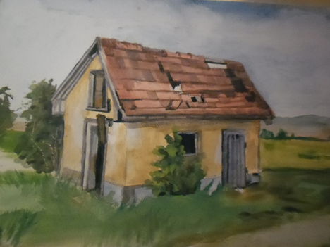 elhagyott tyúkól