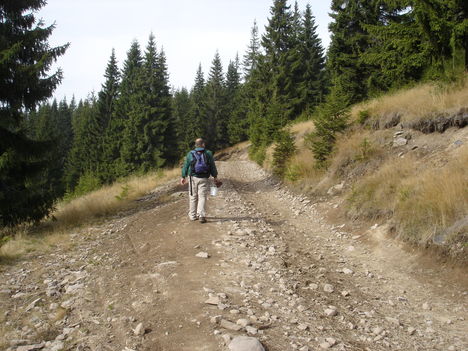 Istenszéke 8