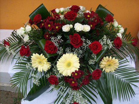KEDVENCEIM 15