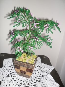selyem akác