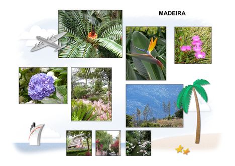 Madeira