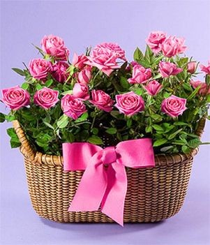 az_ur_aldasa_legyen_veled_1195725_9930