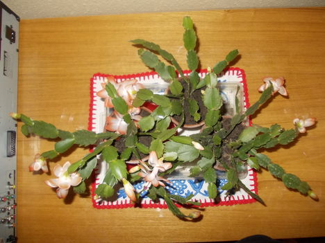 DSCN1427