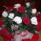 Piros-fehér rózsa
