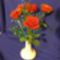 voros_rozsak_956267_55710