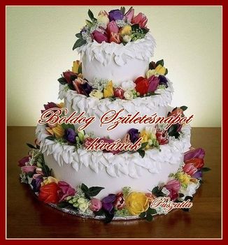www.tvn.hu_bcb62256d524492fb71bc70b3156b6db