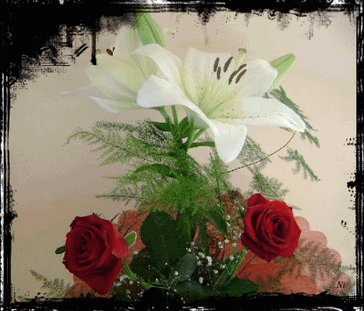 wwwtvnhu_d0faa6b1d167a32a25f129e90182a766
