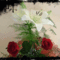 wwwtvnhu_d0faa6b1d167a32a25f129e90182a766