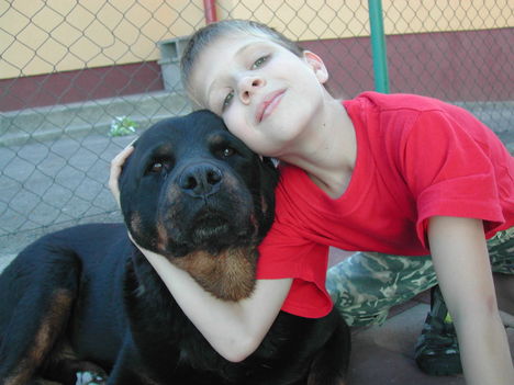2009 aug-szept