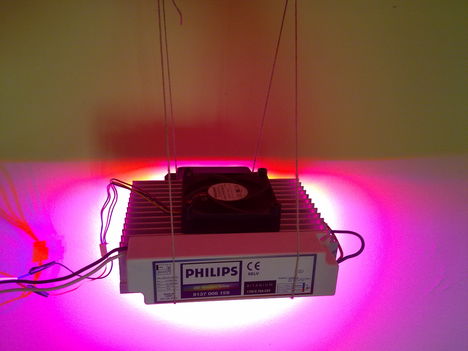 20130216362