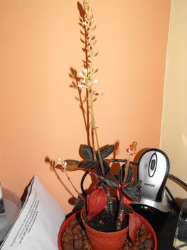 DSCF5772