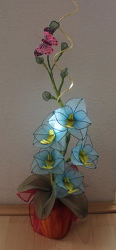 Kék Orchidea