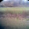 Margitsziget 2009.03