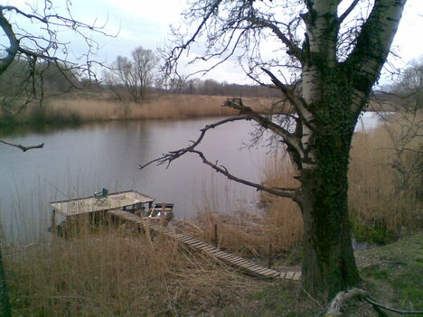 Margitsziget 2009.03