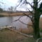 Margitsziget 2009.03