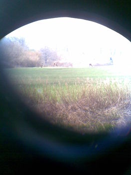 Margitsziget 2009.03