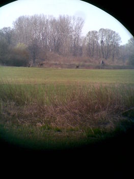 Margitsziget 2009.03