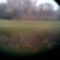 Margitsziget 2009.03
