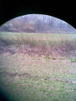 Margitsziget 2009.03