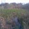 Margitsziget 2009.03