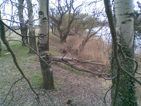 Margitsziget 2009.03
