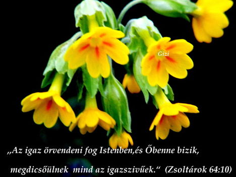 Igeazigaz