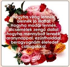 images (8)
