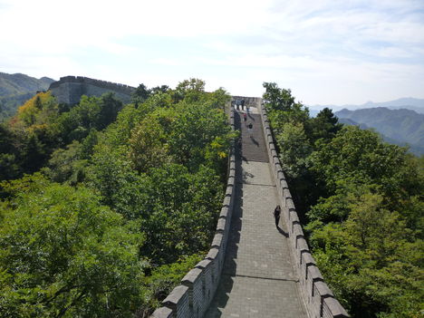P1010579