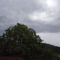 Diófa,háttérben a Nándormagaslat és a felhők