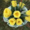 Horgolt tulipánok Anettnak