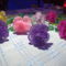 DSCF6764