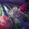 DSCF6765
