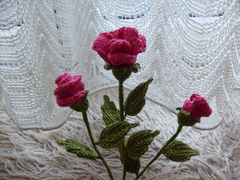 kötött rózsa